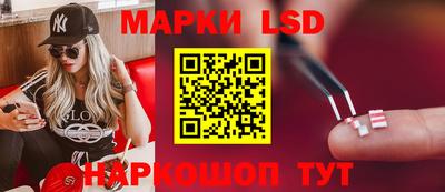 тгк Обь