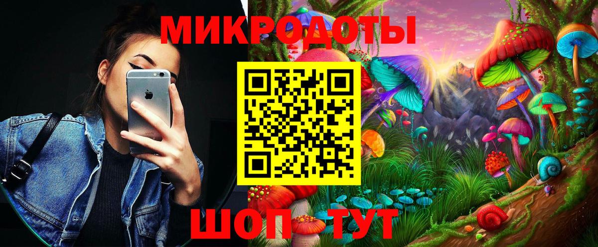 Галлюциногенные грибы Psilocybine cubensis Спасск-Дальний