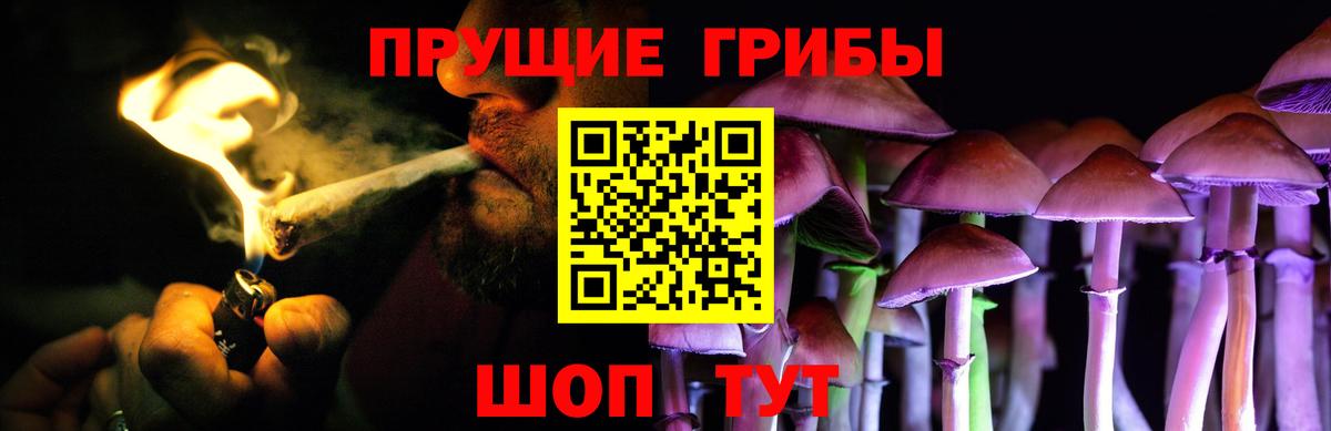 Спасск-Дальний  Псилоцибиновые грибы Psilocybine cubensis  Вход с VPN  Галлюциногенные грибы MAGIC MUSHROOMS 